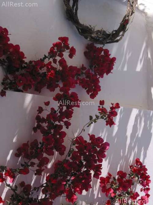 Porto Fira Suites 11